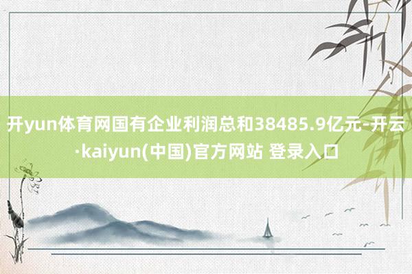 开yun体育网国有企业利润总和38485.9亿元-开云·kaiyun(中国)官方网站 登录入口