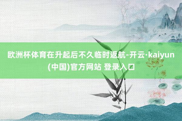 欧洲杯体育在升起后不久临时返航-开云·kaiyun(中国)官方网站 登录入口