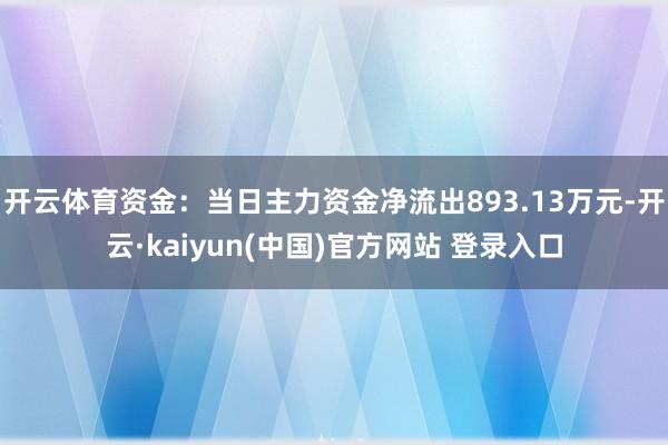 开云体育资金：当日主力资金净流出893.13万元-开云·kaiyun(中国)官方网站 登录入口