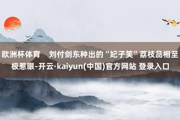 欧洲杯体育    刘付剑东种出的“妃子笑”荔枝品相至极惹眼-开云·kaiyun(中国)官方网站 登录入口