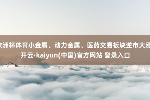 欧洲杯体育小金属、动力金属、医药交易板块逆市大涨-开云·kaiyun(中国)官方网站 登录入口