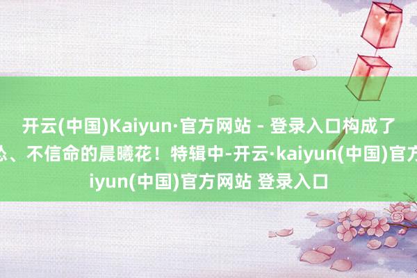 开云(中国)Kaiyun·官方网站 - 登录入口构成了不屈输、不认怂、不信命的晨曦花！　　特辑中-开云·kaiyun(中国)官方网站 登录入口