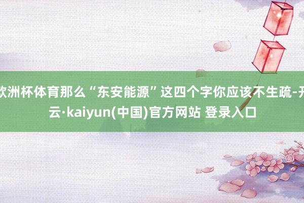 欧洲杯体育那么“东安能源”这四个字你应该不生疏-开云·kaiyun(中国)官方网站 登录入口