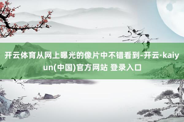 开云体育从网上曝光的像片中不错看到-开云·kaiyun(中国)官方网站 登录入口