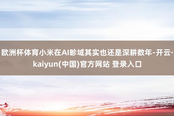 欧洲杯体育小米在AI畛域其实也还是深耕数年-开云·kaiyun(中国)官方网站 登录入口