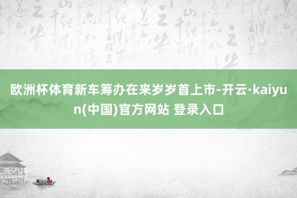 欧洲杯体育新车筹办在来岁岁首上市-开云·kaiyun(中国)官方网站 登录入口
