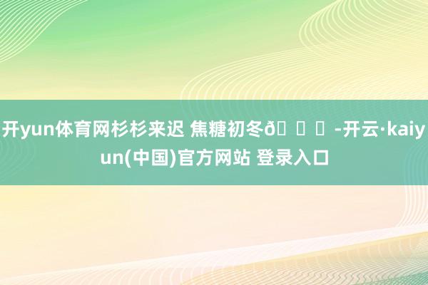开yun体育网杉杉来迟 焦糖初冬🍂-开云·kaiyun(中国)官方网站 登录入口