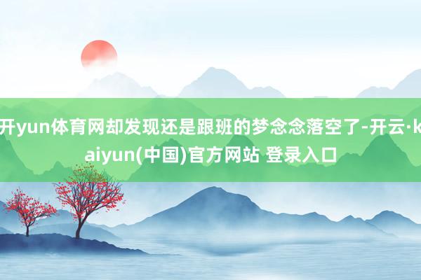 开yun体育网却发现还是跟班的梦念念落空了-开云·kaiyun(中国)官方网站 登录入口