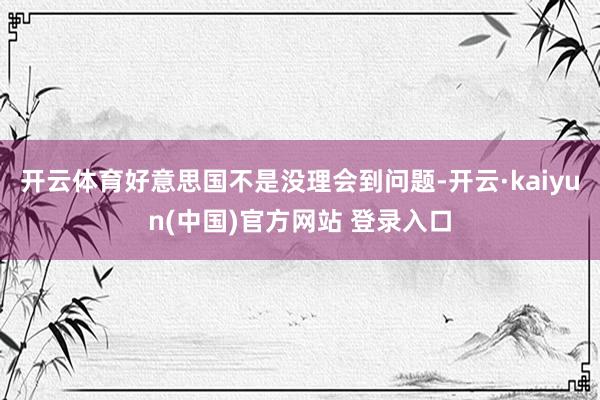 开云体育好意思国不是没理会到问题-开云·kaiyun(中国)官方网站 登录入口