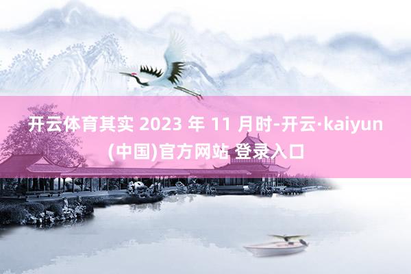 开云体育其实 2023 年 11 月时-开云·kaiyun(中国)官方网站 登录入口