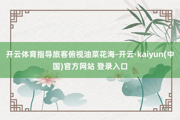 开云体育指导旅客俯视油菜花海-开云·kaiyun(中国)官方网站 登录入口