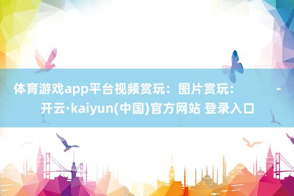 体育游戏app平台视频赏玩：图片赏玩：          -开云·kaiyun(中国)官方网站 登录入口